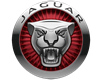 JAGUAR JAGUAR